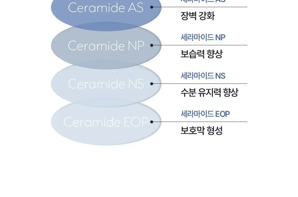 [덱스PICK/1등올인원] 오브제 모이스처 프로틴 올인원 150ml(단품/기획) 상세페이지 25